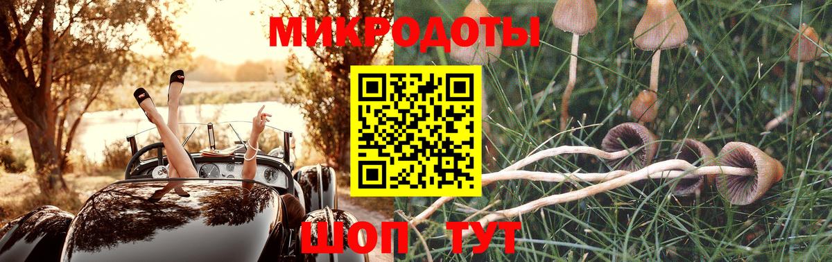 Псилоцибиновые грибы Cubensis Черняховск